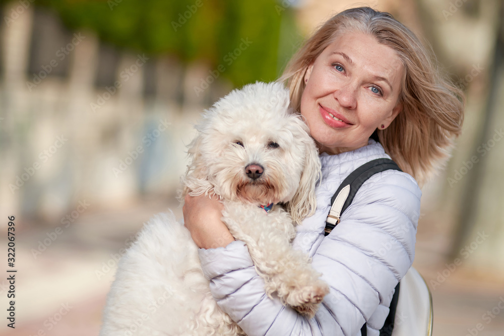elderly pensioner woman walk park white small dog elderly pensioner woman walk park white small dog