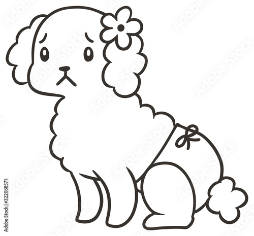 パンツをはいたメスのトイプードルのイラスト_困り顔