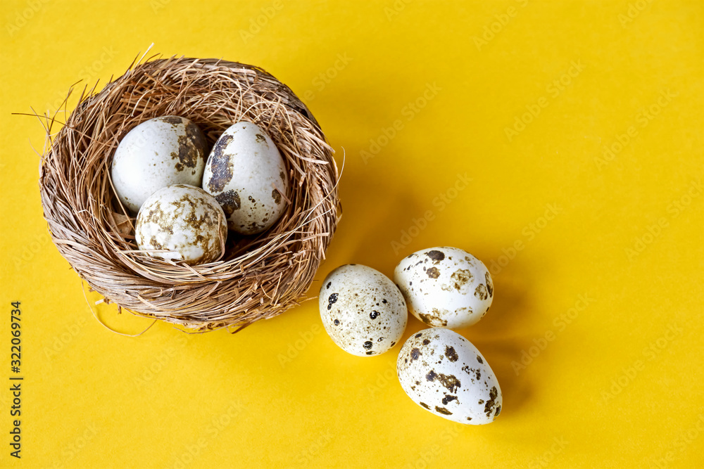Obraz premium Easter nest and fragile speckled or spotted quail eggs on yellow background with copy space for use as a easter background or spring background. 