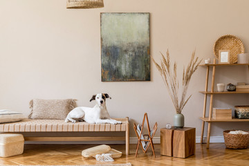 Modern composition of living room with furnitures, mock up paintings, rattan decoration, bamboo shelf with elegant personal accessories. Beautiful dog lying on the chaise longue. Home decor Template