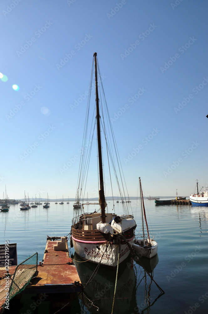 Obraz premium yacht in harbor