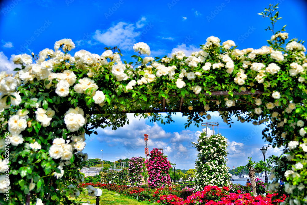 Obraz premium Picture of Verny Park in Yokosuka, Japan