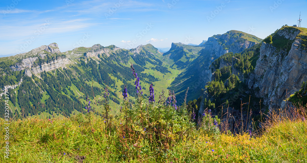 idyllic landscape Niederhorn mountain, monkshood flowers and view to Justistal valley, swiss alps