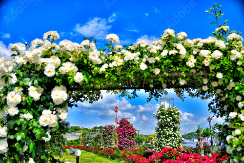 Picture of Verny Park in Yokosuka, Japan photo