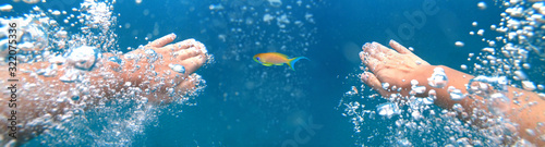 Underwater shoot of a diver swimming in a blue clear water and chases the goldfish, strong hands and lots of bubbles. Point of view shot