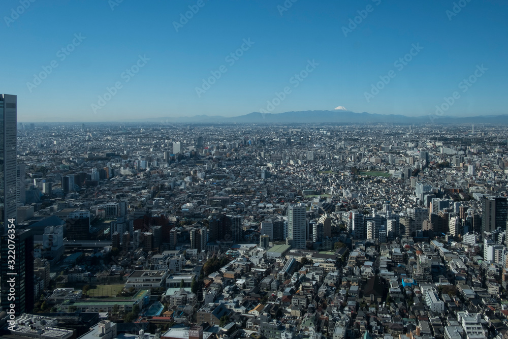 Fuji from Tokyo