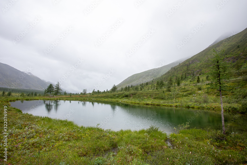 Mountain lake with green grass on the shore. Mountains of the Polar Urals