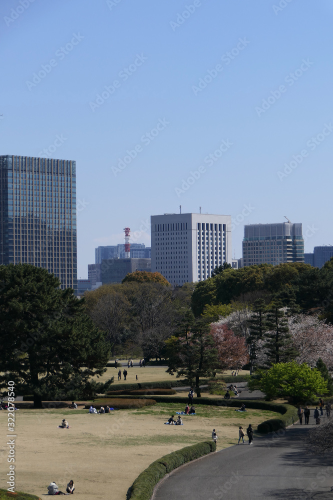 Park with green trees before skyline during jerry blossom, Tokyo, Japan Park with green trees before skyline during jerry blossom, Tokyo, Japan