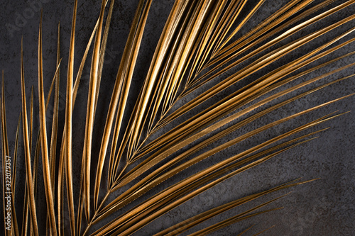 Closeup of golden palm leaf on abstract dark grey textured background. Tropic...