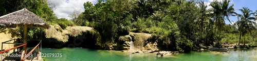 Jungle water pool with waterfall  natural pools  Siquijor  Philippines