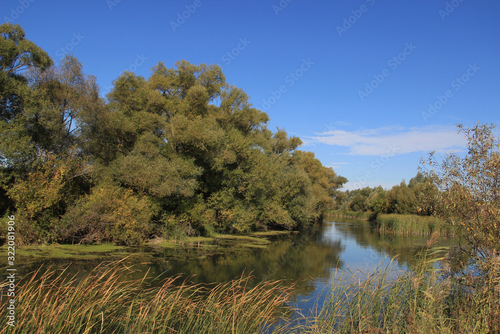 A quiet river on a bend surrounded by trees, reeds, grass against the blue sky.