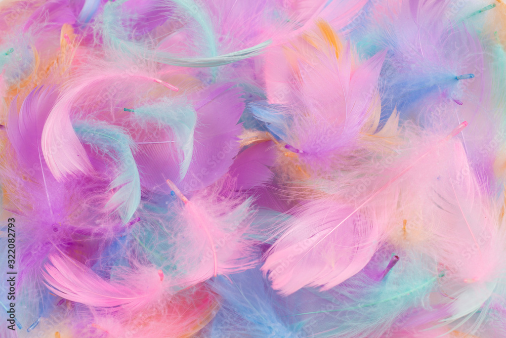 Colorful feather background, top view. Colorful feather background, top view.