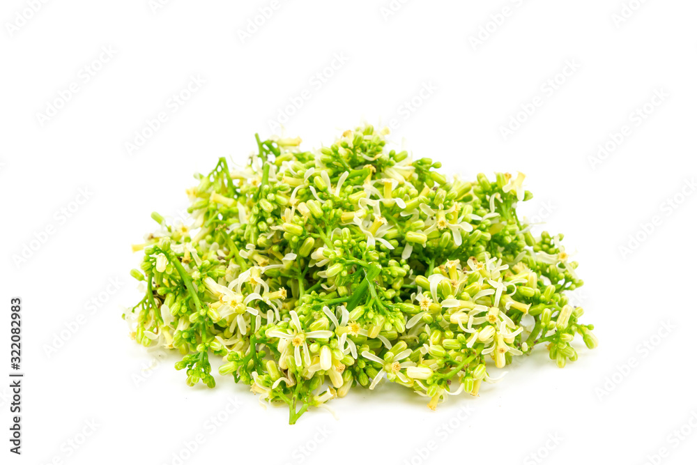 Neem flower isolated on white background. Neem flower isolated on white background.