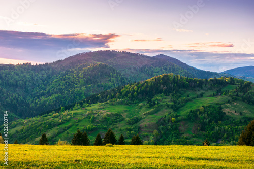 rural landscape in mountains at dusk. amazing view of carpathian countryside with fields and trees on rolling hills. glowing purple clouds on the sky. calm weather in springtime © Pellinni