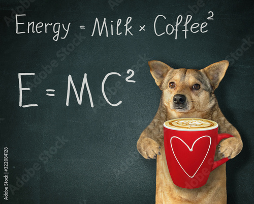 The beige dog holds a red cup of black energy coffee with milk. There are two funny formulas next to him. Black background.