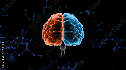 Brain head human mental idea mind 3D illustration background photo