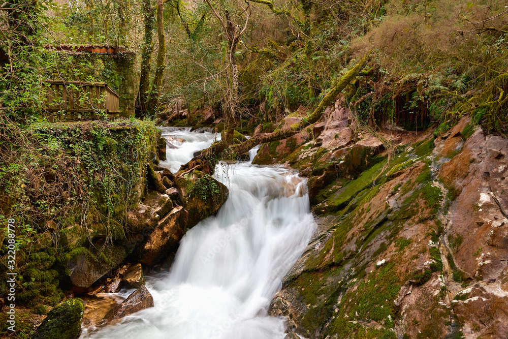 Río con cascada en un bosque