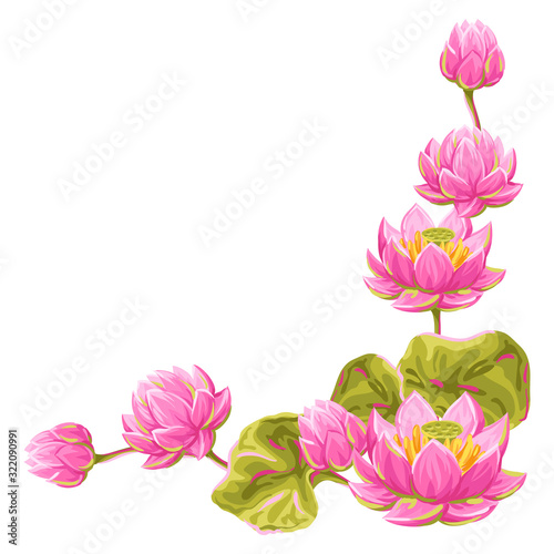 Decorative element with lotus flowers. Water lily illustration.