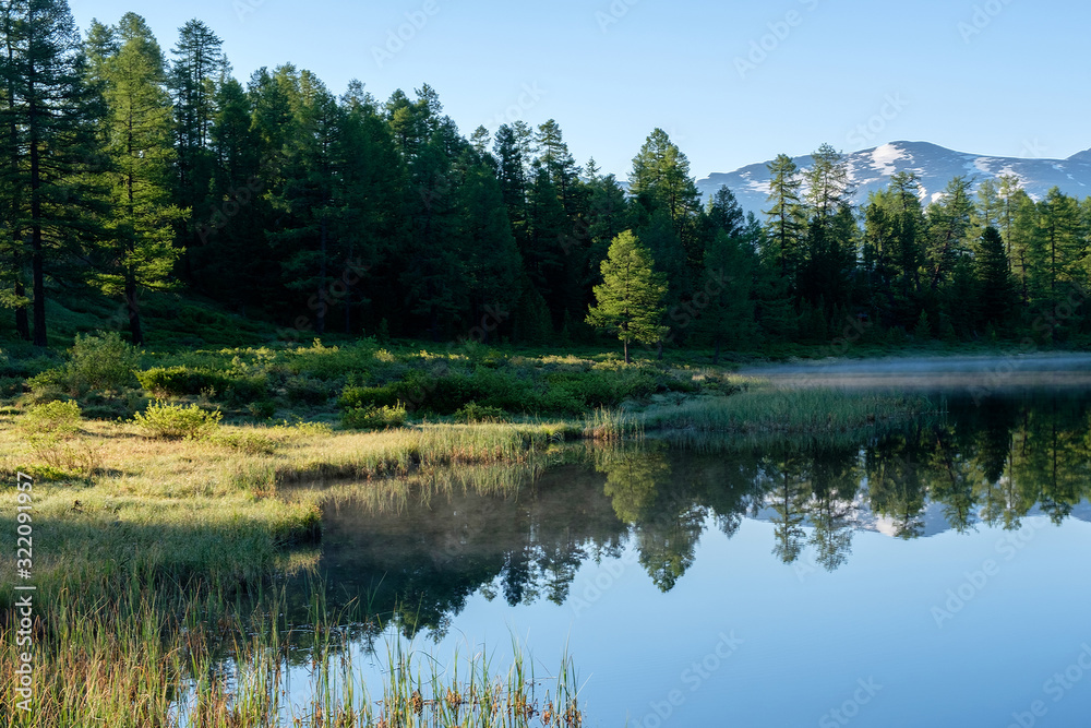 The calm water surface of a forest lake, reflection of trees. Foreground. Fog and sunbeams, morning in Altai.
