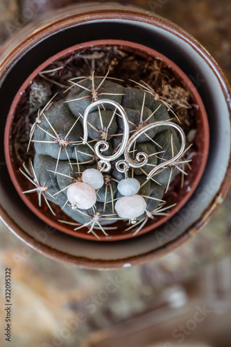 Morganite mineral faceted stone beads earrings on cactus background photo