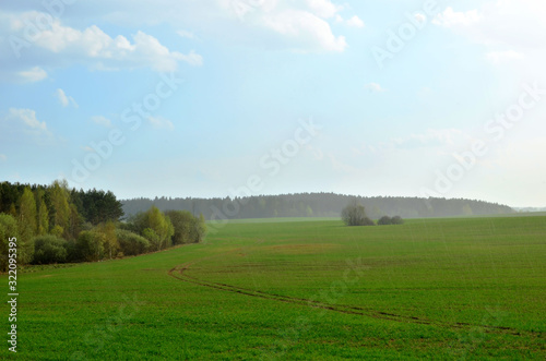 View of a field with green grass during the rainy. Spring weather during short rain. Landscape with green grass under scenic spring blue dramatic picture, background, texture