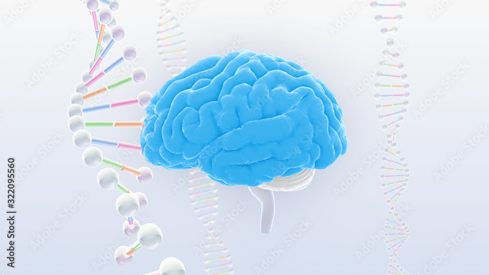 Brain head human mental idea mind 3D illustration background Brain head human mental idea mind 3D illustration background