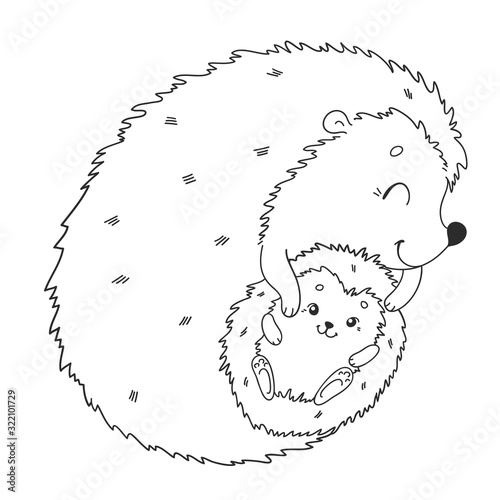 Coloring page with cute hedgehog. Mother and baby