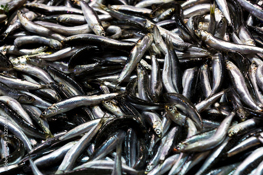 Fresh fish at a market in Istanbul on the banks of the Golden Horn. Close-up shot.