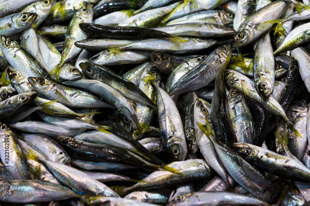 Fresh fish at a market in Istanbul on the banks of the Golden Horn. Close-up shot. Fresh fish at a market in Istanbul on the banks of the Golden Horn. Close-up shot.