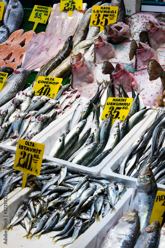 Fresh fish at a market in Istanbul on the banks of the Golden Horn. Close-up shot. Fresh fish at a market in Istanbul on the banks of the Golden Horn. Close-up shot.