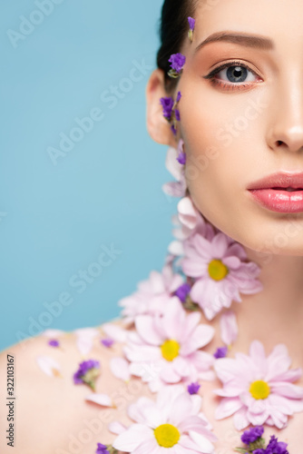cropped view of naked woman with flowers on body isolated on blue
