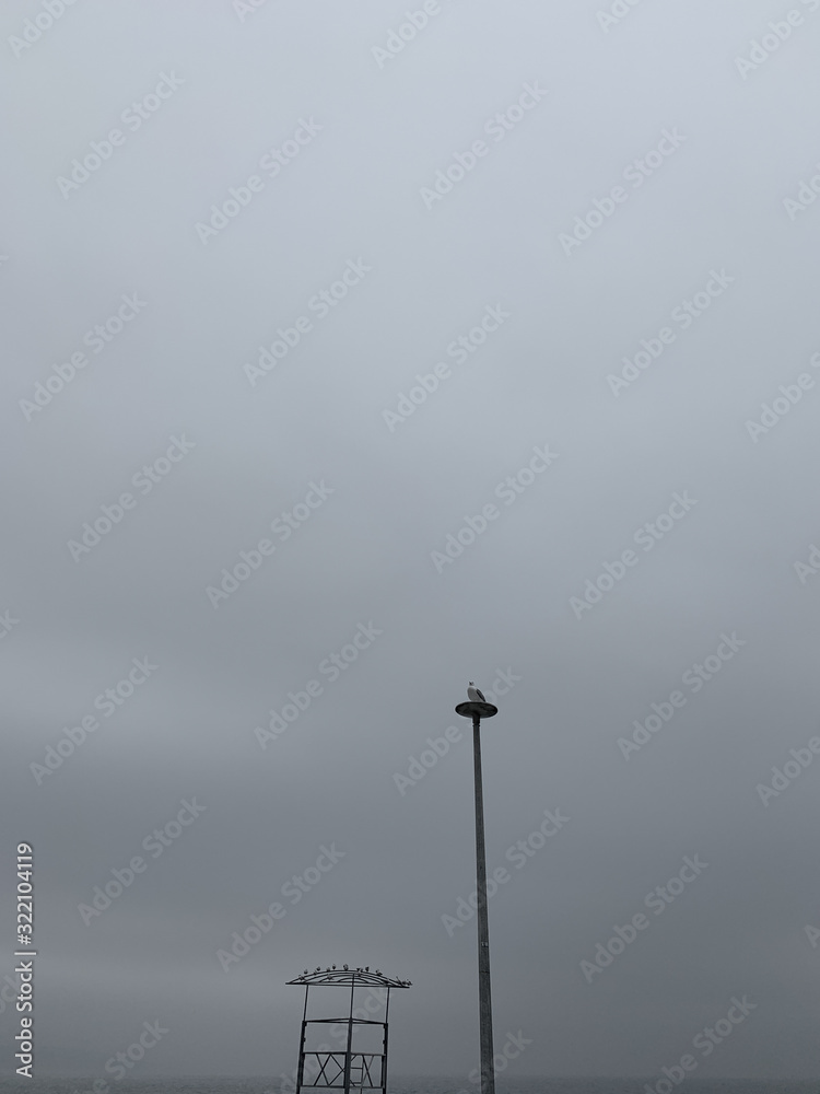 Seagull on the pillar in the gray sky background Seagull on the pillar in the gray sky background