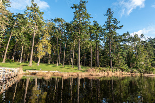 Landscape of water  shoreline and tall trees at Deception Pass State Park in Washington