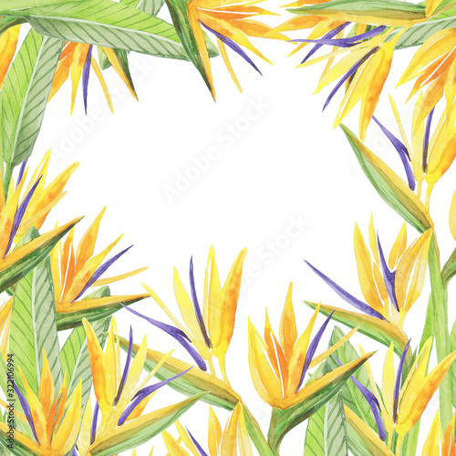 Wallpaper Mural strelitzia pattern Torontodigital.ca