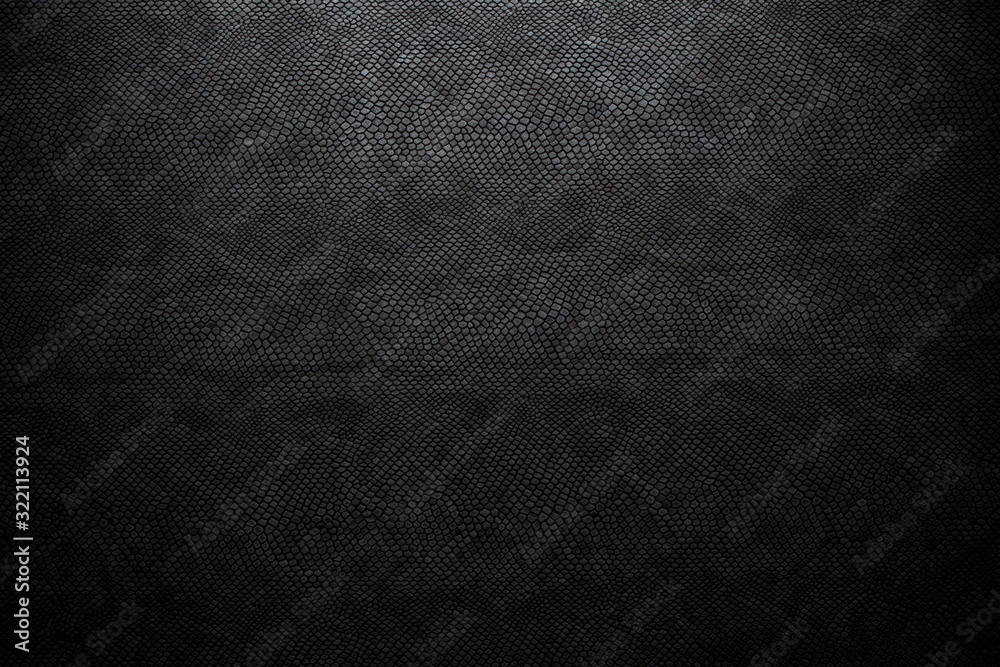 © Kovac Mario - black snake skin texture for background