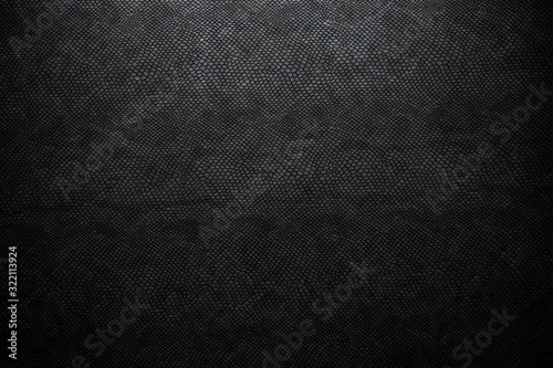 black snake skin texture for background