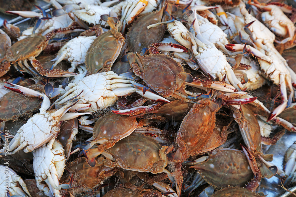 Piles of crabs