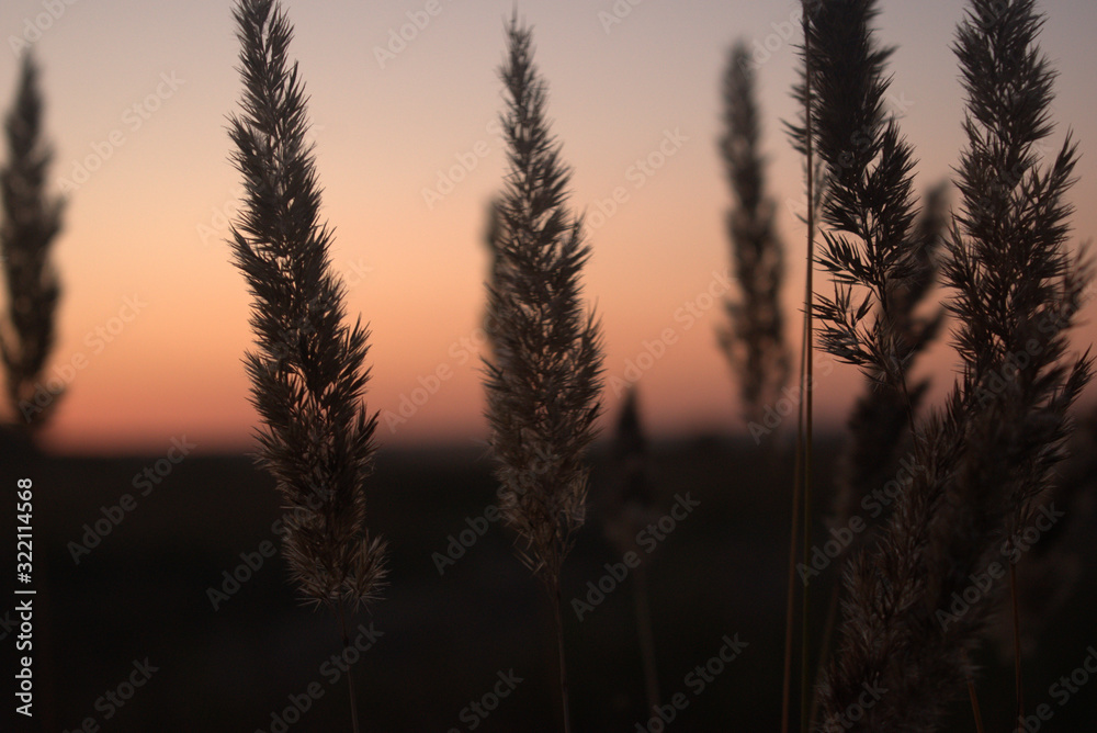 Закат Закат