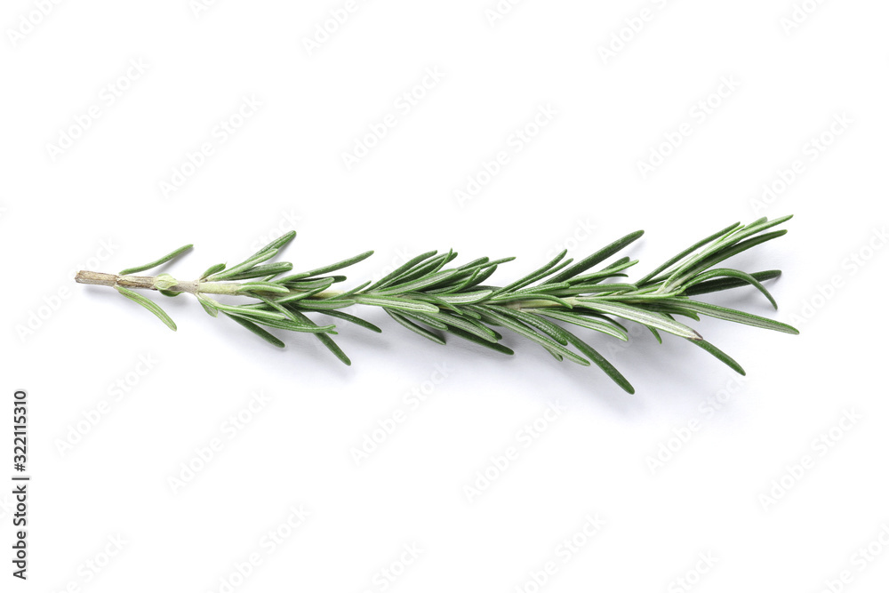 Fototapeta premium Fresh green rosemary isolated on white background