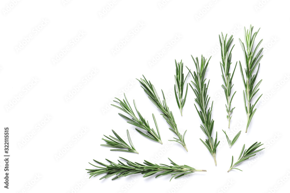 Flat lay composition with rosemary on white background, space for text Flat lay composition with rosemary on white background, space for text