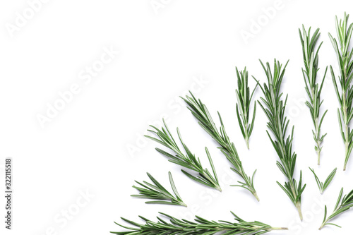 Flat lay composition with rosemary on white background  space for text