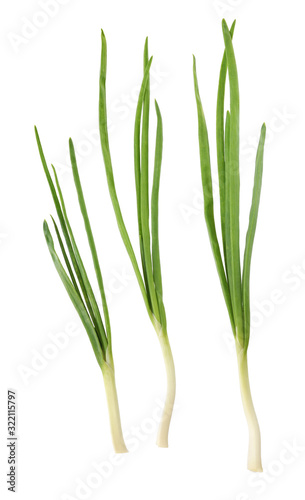 sprigs of green onions