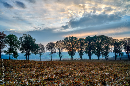 Poland, Autumn, around the village of Buczyniec - a field after harvesting maize photo