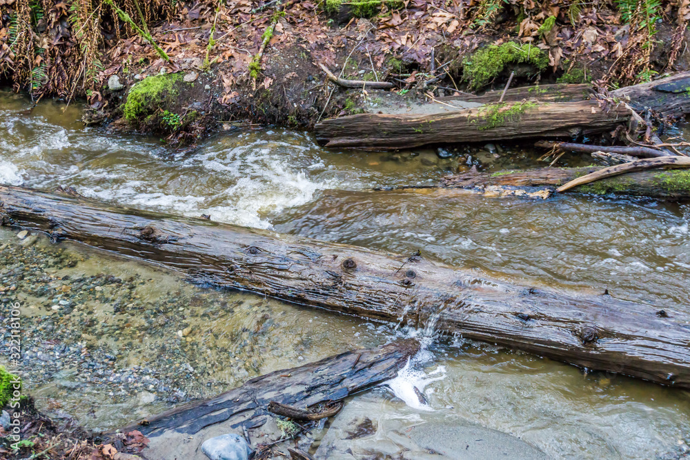 Rushing Water Background 2