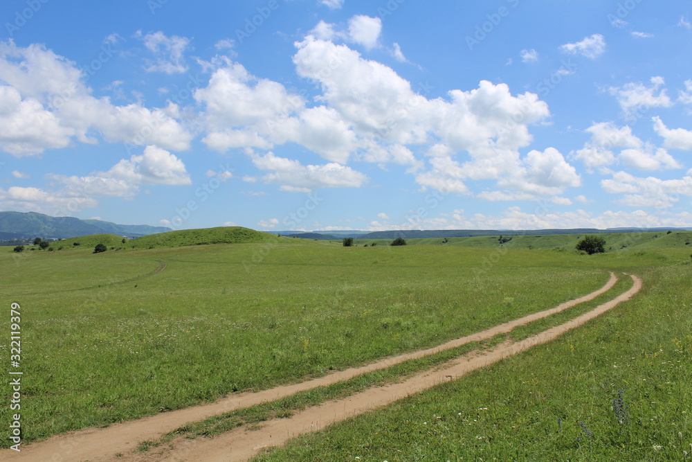 Obraz premium Mountain meadow