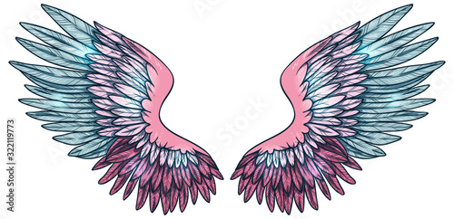 Beautiful magic glittery pink blue angel wings, hand drawn vector