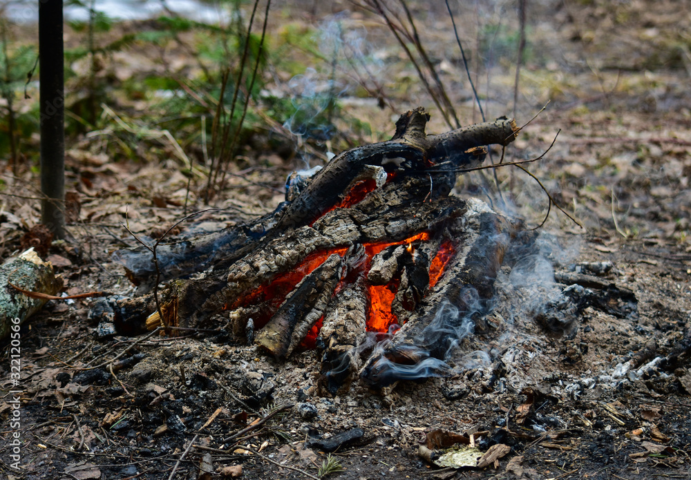 Bonfire in the nature. Barbecue coals Bonfire in the nature. Barbecue coals