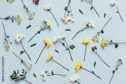 Dry flowers pattern on blue background. Flat lay, top view.