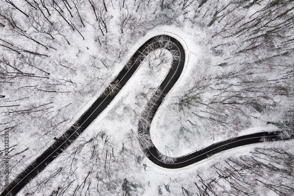 aerial view of road in forest