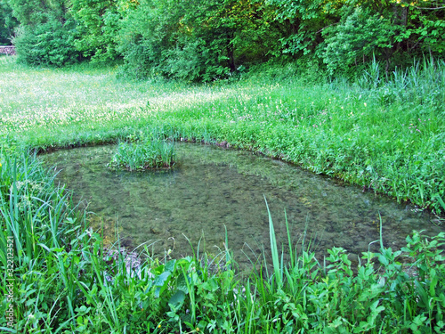 An artificial pond with a dam and mini marshes on the Grabserbach stream, Grabs - Canton of St. Gallen, Switzerland photo